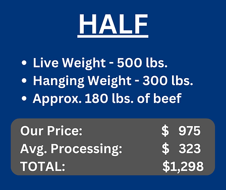 HALF PRICES (1).png