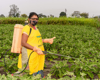 Woman farmer spraying crops