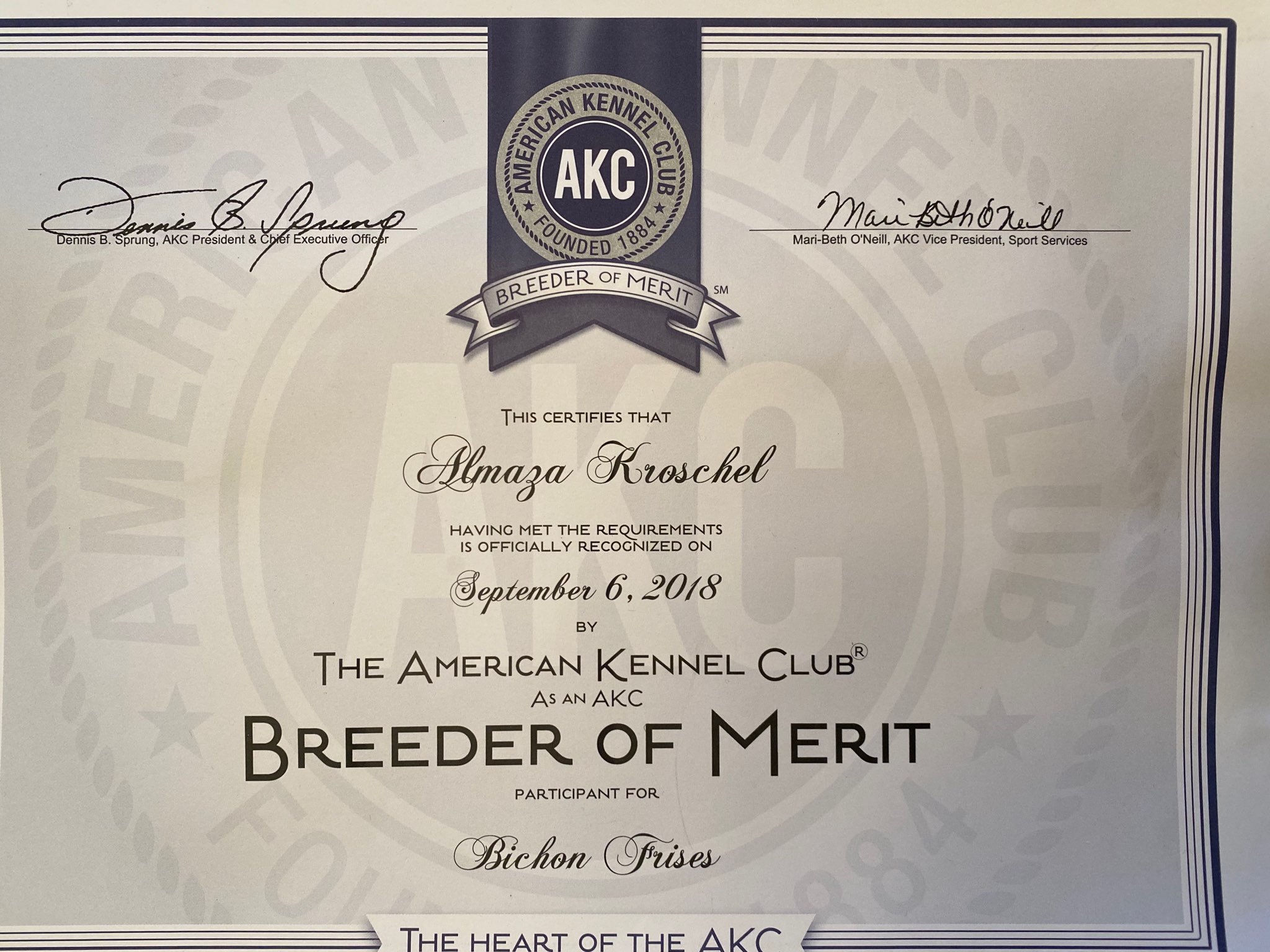 Akc Breeder Of Merit 2025
