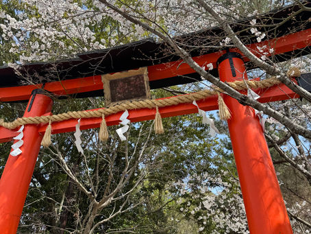 実家に帰省して気づいた親の終活特に何もしていないから始める任意後見と遺言書の話
