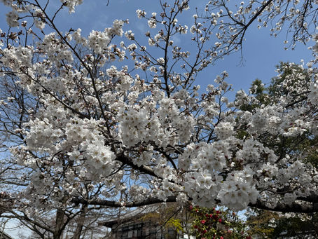 「無料点検」にご用心!高齢者を狙う屋根リフォーム詐欺の実態とは?