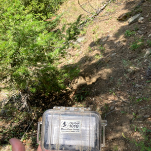 Find 1 by Justin