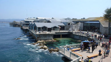 Now Hiring!  Public Affairs Specialist in Monterey, CA