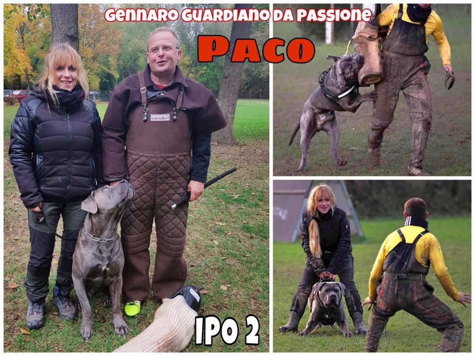 IPO2 Prüfung Gennaro GDP