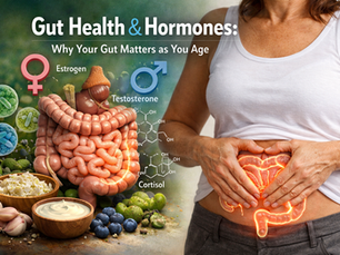 Understanding Gut Health: A Path to Wellness