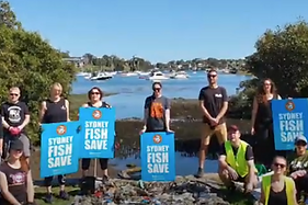 Screen Shot 2020-11-30 at 12.22.35.png