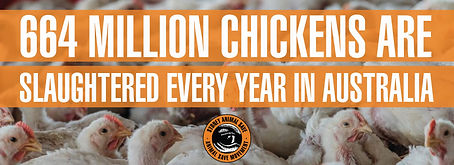 78405624_1046644809014326_29753692131258