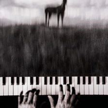 analog collage e assemblage