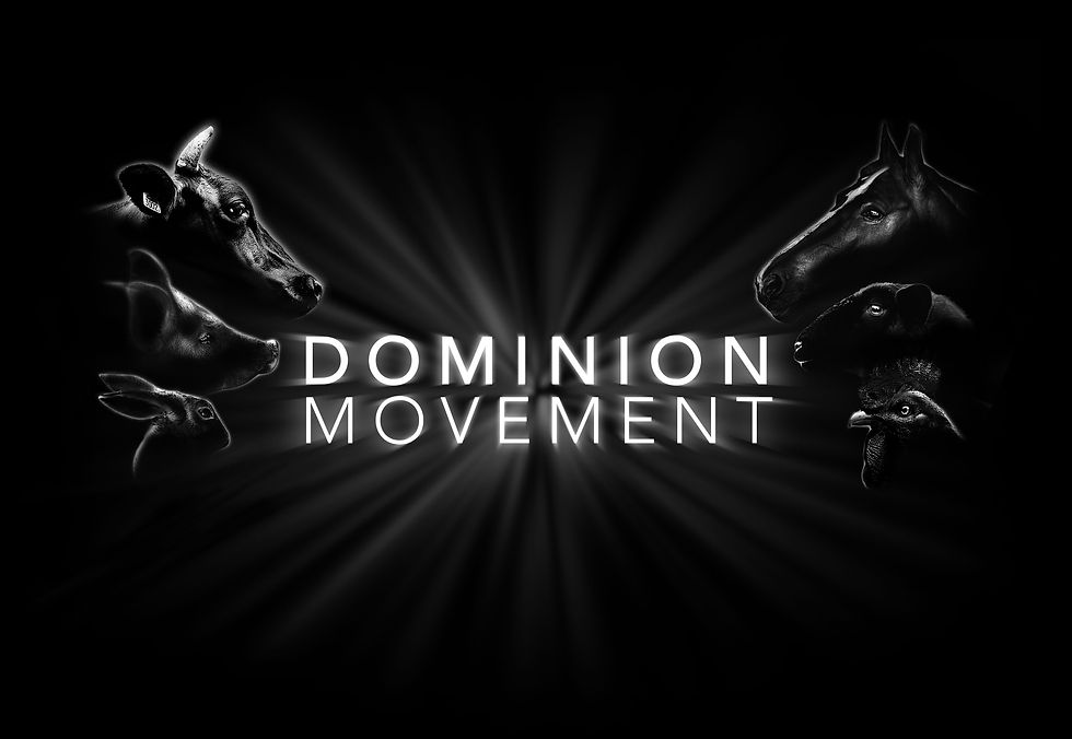 DOMINION_T-shirt_MAR19_5