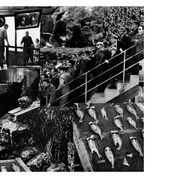 analog collage e assemblage