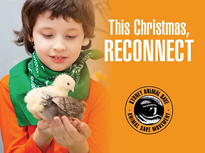 Screen Shot 2020-06-17 at 11.32.49.png