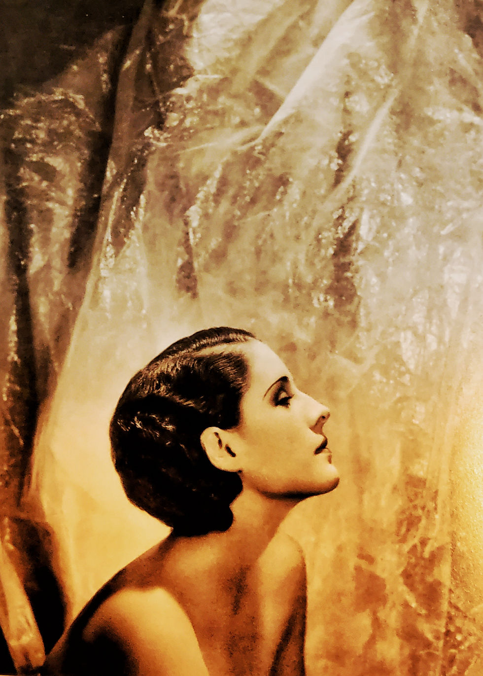 Retrato de perfil de uma mulher, capturado do busto para cima, contra um fundo texturizado e brilhante que lembra papel amassado ou tecido acetinado.