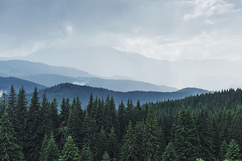 scenic-mountains-landscape-after-rain-carpathians-ukraine.jpg