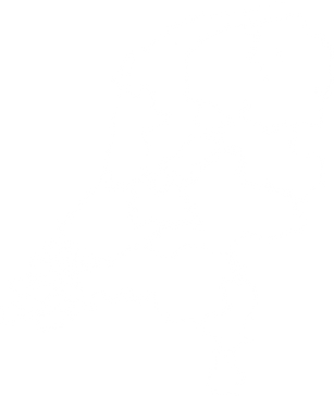 kaart-nederland.png