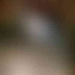 Transporting Helicopter