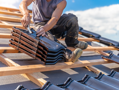 timmerman dakpan leggen