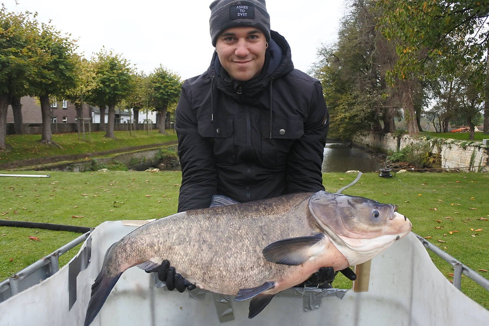De vissen van Kasteel Borgharen.
