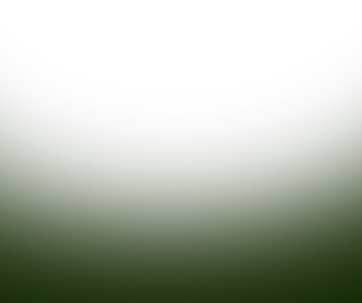 Shadow.png