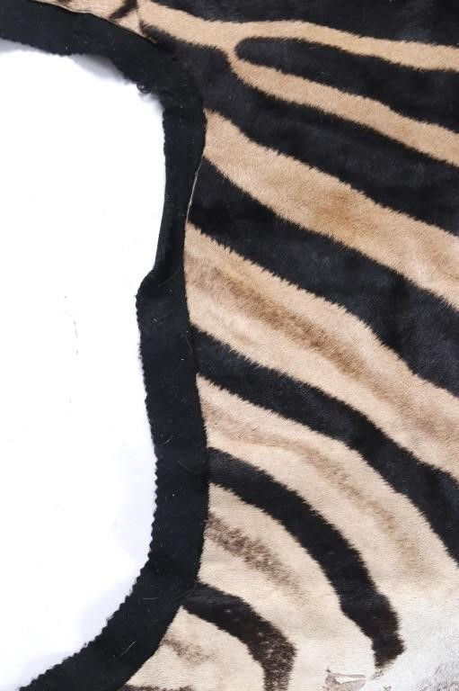 Thumbnail: SOLD: Vintage Burchell Zebra Skin Rug - 10' 2" x 5' 5"