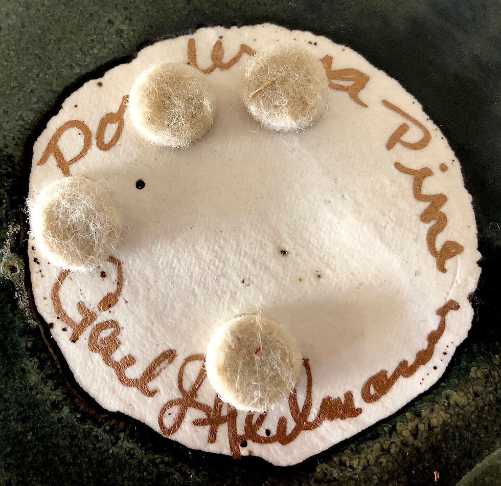 Thumbnail: SOLD: Art Pottery Dish - Ponderosa Pine by Gail J. Heilmann