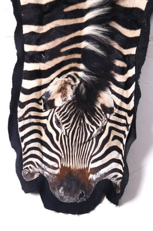 Thumbnail: SOLD: Vintage Burchell Zebra Skin Rug - 10' 2" x 5' 5"