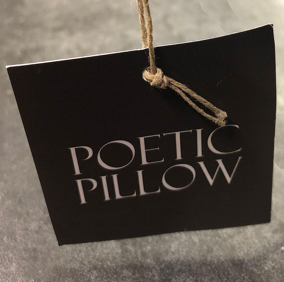 Thumbnail: SOLD: Persian Dream 22" x 22" Down Filled Pillow by Poetic Pillow