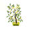 Thumbnail: SOLD: Vintage Chinese Carved Jade Lemon Bonsai Tree - Large