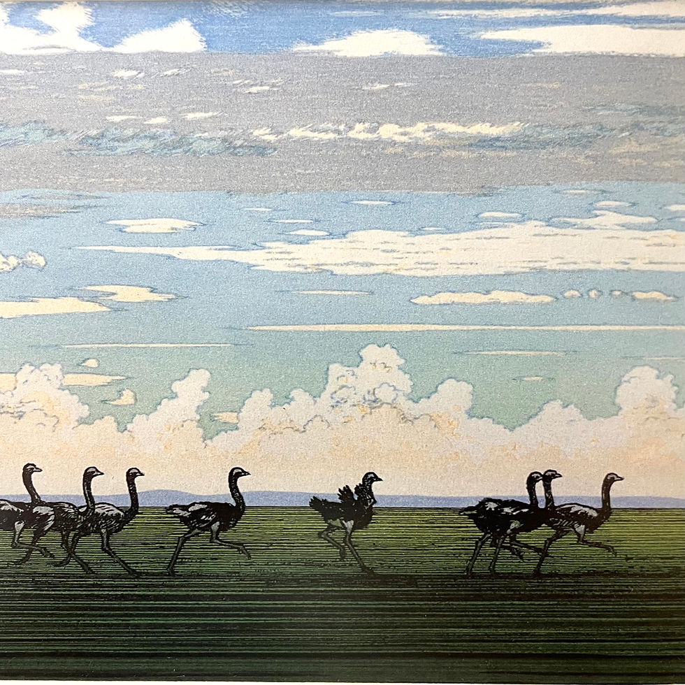 Thumbnail: "Running Ostrich" Japanese Woodblock Print by Yoshida Toshi Circa 1984