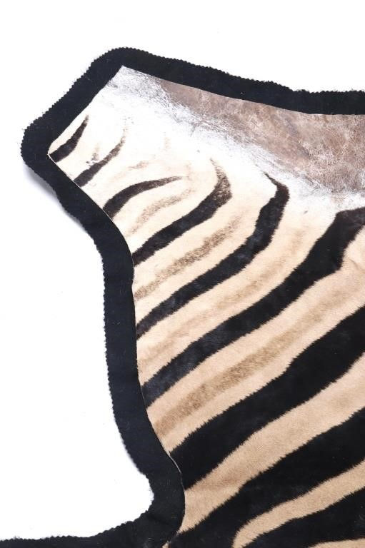 Thumbnail: SOLD: Vintage Burchell Zebra Skin Rug - 10' 2" x 5' 5"