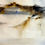 Thumbnail: 1973 Abstract Napa Valley Landscape Watercolor by Anne Breiholz