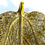 Thumbnail: SOLD: Virginia Metalcrafters 1948 Mulberry Leaf Cast Brass Dish