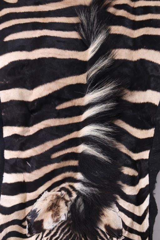 Thumbnail: SOLD: Vintage Burchell Zebra Skin Rug - 10' 2" x 5' 5"