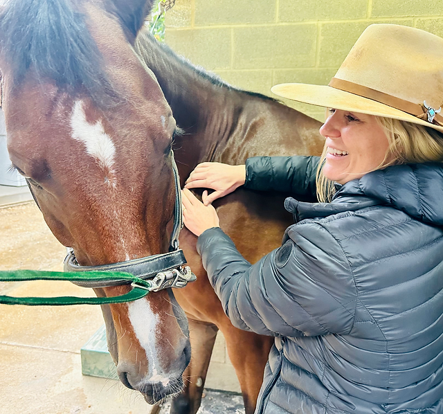 Equine Show and Event Sessions