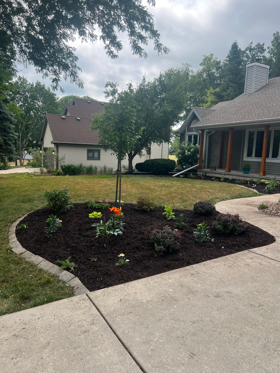 Mulch perennial bed