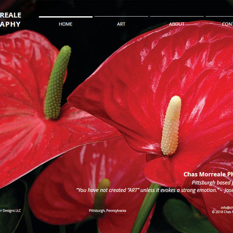 Selling More than just Photographs