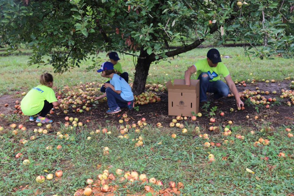 KindCraft_gleaning_2
