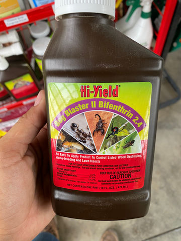 Pest Control .jpeg