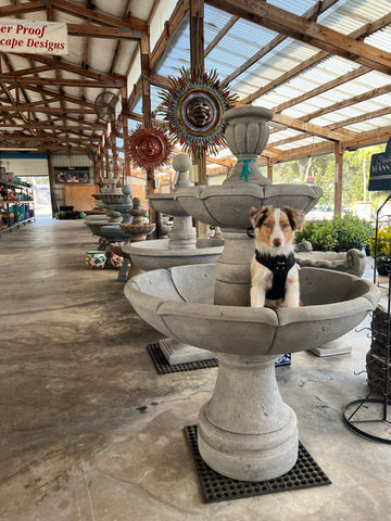 Rusty Dog Fountains Massarelli.jpeg