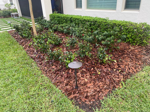 Installation Ground Cover .jpeg