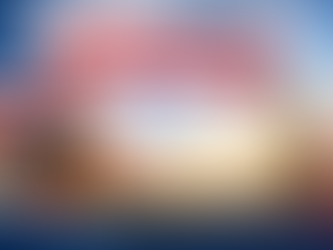 Olathe DAR Launches New Scholarship in Honor of America 250!