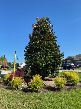 Magnolia Installation Deltona .jpeg