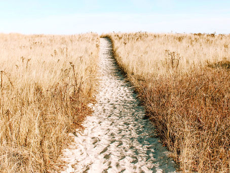 This is a blog post or resource article