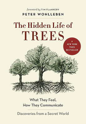 Hidden Life