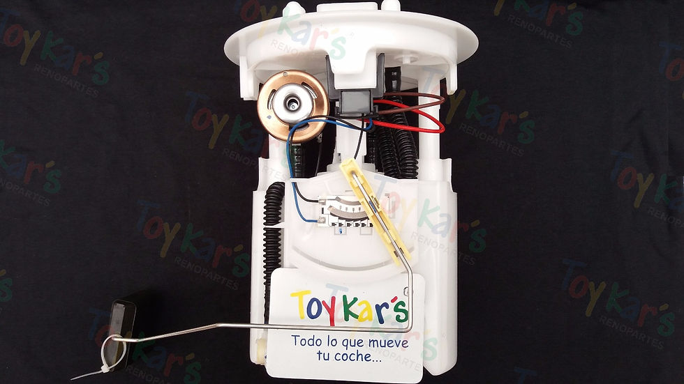 Bomba gasolina Peugoet 307