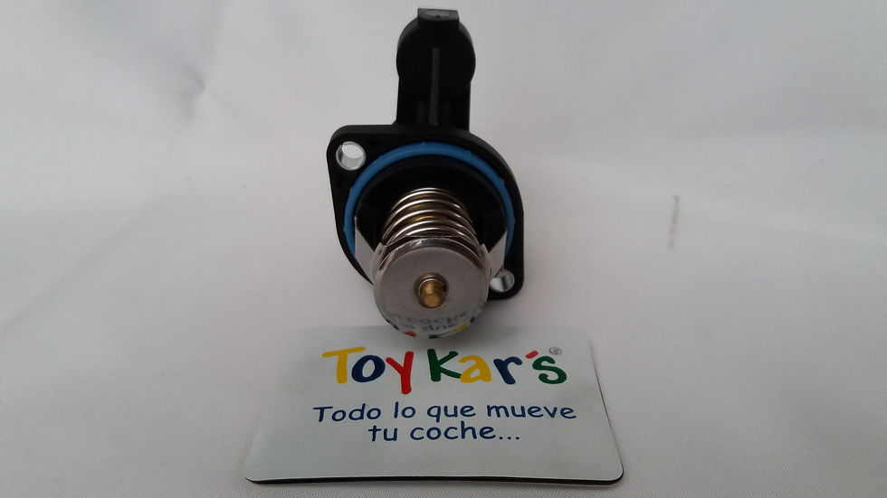 termostato Peugeot 307