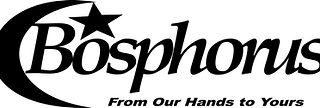 bosphorus-cymbals-seeklogo_edited_edited