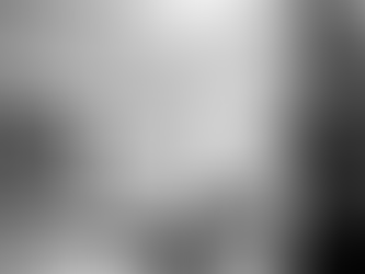 Cei mai renumiți fotografi din lume: Annie Leibovitz