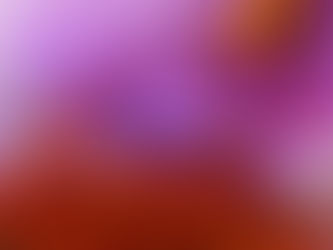 Saffron: The Golden Spice That Supports Your Mood, Memory, and Feminine Power