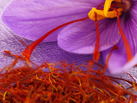 Saffron: The Golden Spice That Supports Your Mood, Memory, and Feminine Power