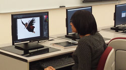 Graphic Design Major